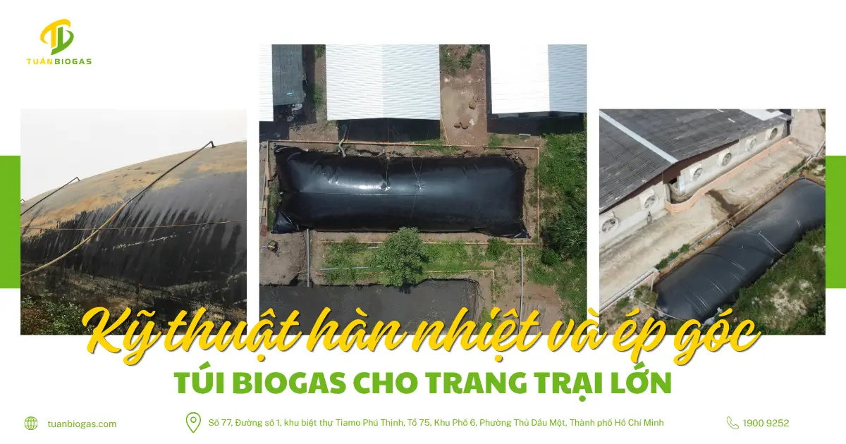 Kỹ Thuật Hàn Nhiệt Và Ép Góc Túi Biogas Cho Trang Trại Lớn: Công Nghệ Độc Quyền Của Tuấn Biogas